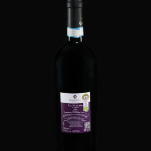 San Michele - immagine 2
