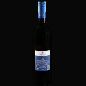 Venere - immagine 2